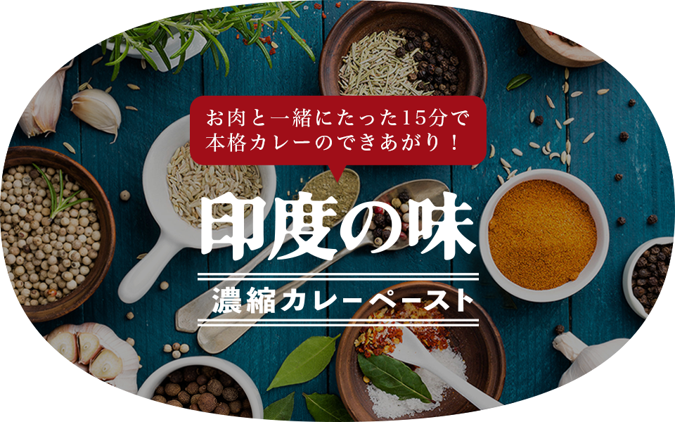 印度の味カレーペースト 公式 マスコットフーズ